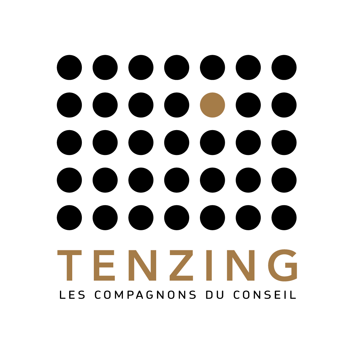 Tenzing Agence Conseil